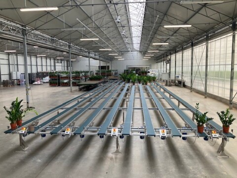 Maron plants afkweeksysteem 27 03 25 2