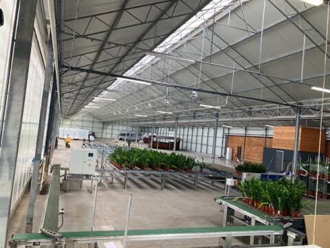 Maron plants afkweeksysteem 27 03 25 3