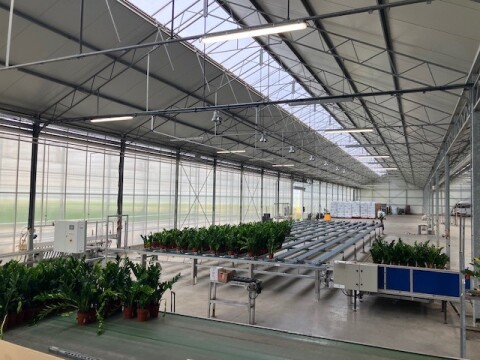 Maron plants afkweeksysteem 27 03 25 4