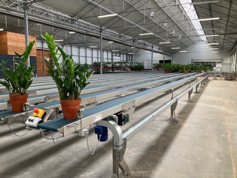 Maron plants afkweeksysteem 27 03 25 5