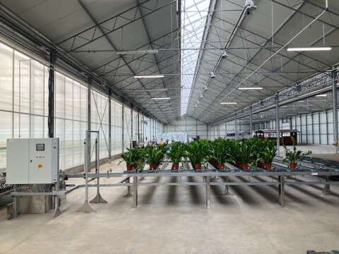 Maron plants afkweeksysteem 27 03 25 7
