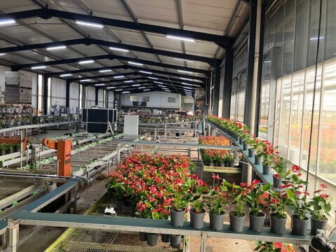 Spekflowers afleversysteem 2025 7