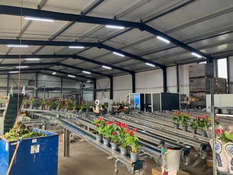 Spekflowers afleversysteem 2025 9