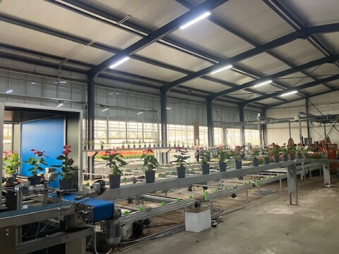 Spekflowers afleversysteem 2025